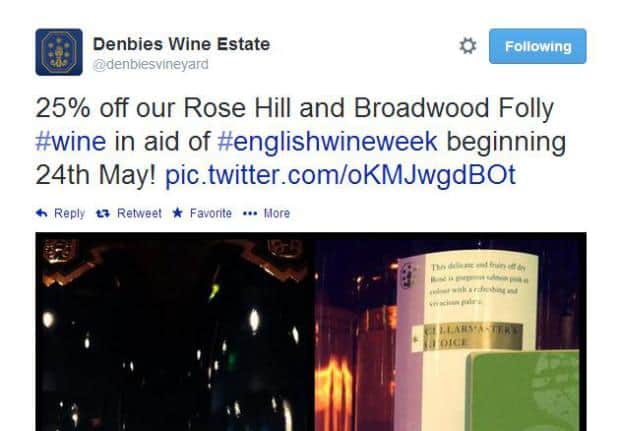 Denbies Wine Estate Example
