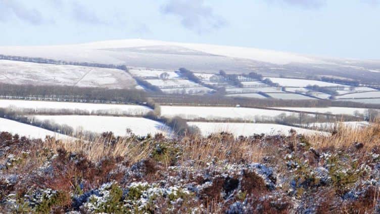 Image courtesy of Court Farm Holiday Cottages, Exmoor's