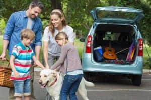 Up to 40% of British families include pets in their holiday plans