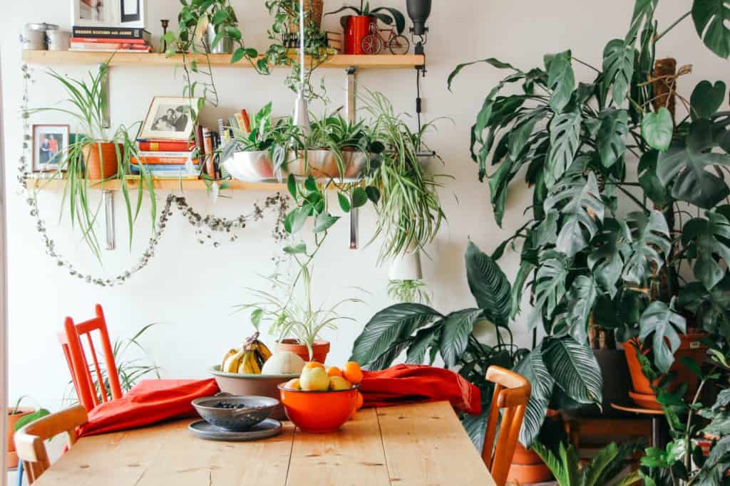 dining room with fruit bowl and plants