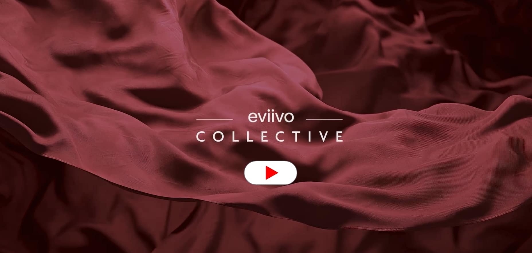 eviivo collective video